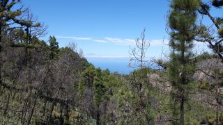 2022-03-GranCan-Mirador_Sargento-Trekking-PM-NN-24.JPG